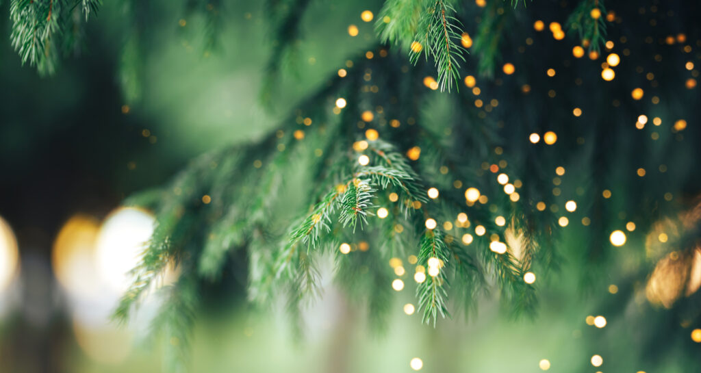 Christmas tree outdoor with snow, lights bokeh around, and snow falling, Christmas atmosphere.